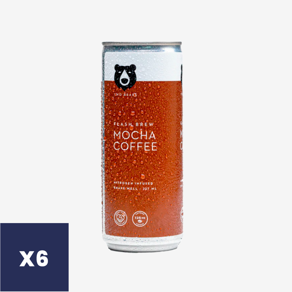Café Mocha Flash Brew Two Bears 6 x 207 ml