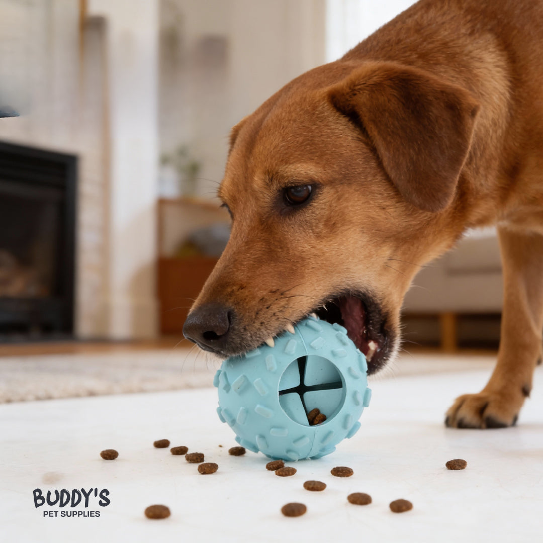 Pelota Interactiva para Perros Azul Buddy´s Pet Supplies 1 un