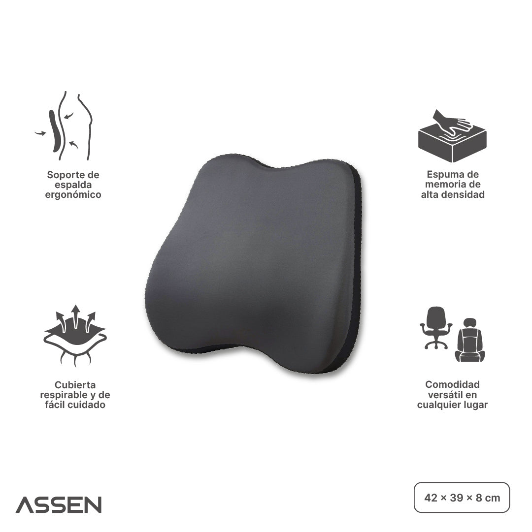 Cojín Lumbar Ergonómico Memory Foam Assen 1 un