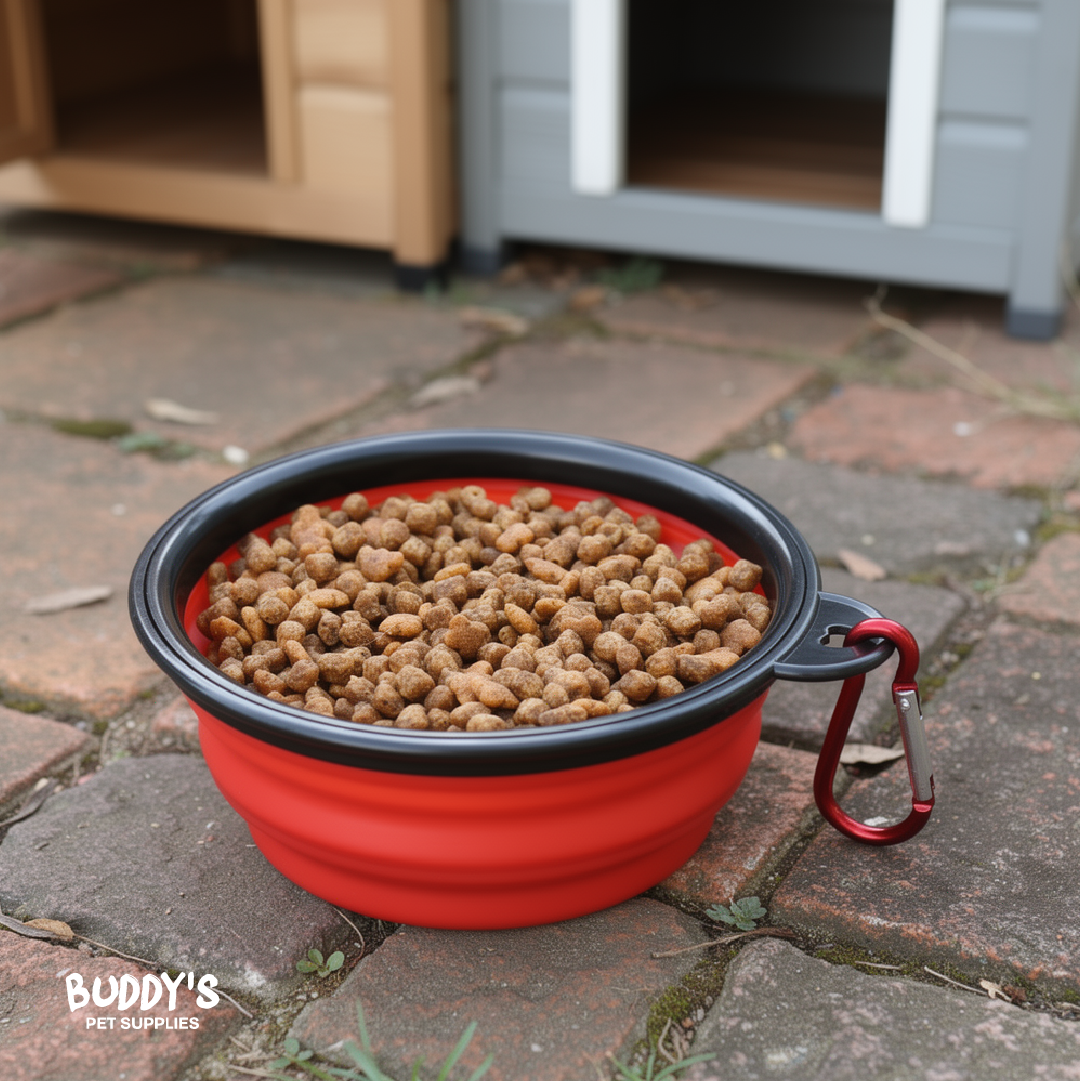 Plato Comida Plegable para Mascotas Buddy´s Pet Supplies 1 un