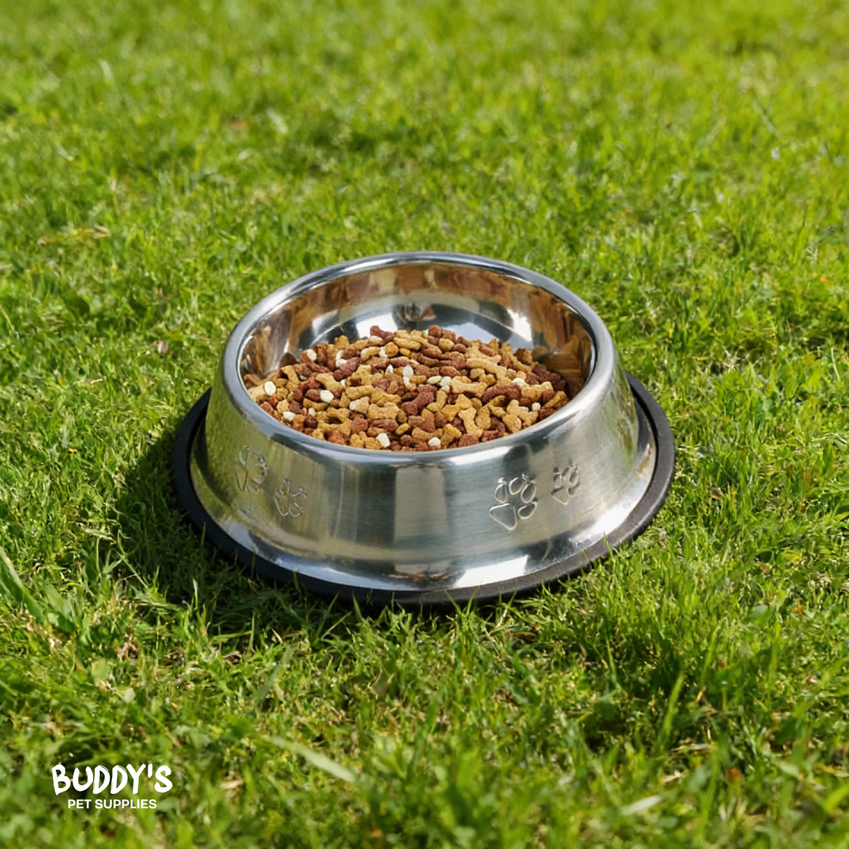 Plato Acero Innoxidable Mascotas Buddy´s Pet Supplies 1 un