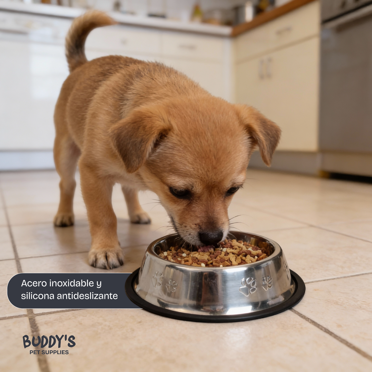 Plato Acero Innoxidable Mascotas Buddy´s Pet Supplies 1 un