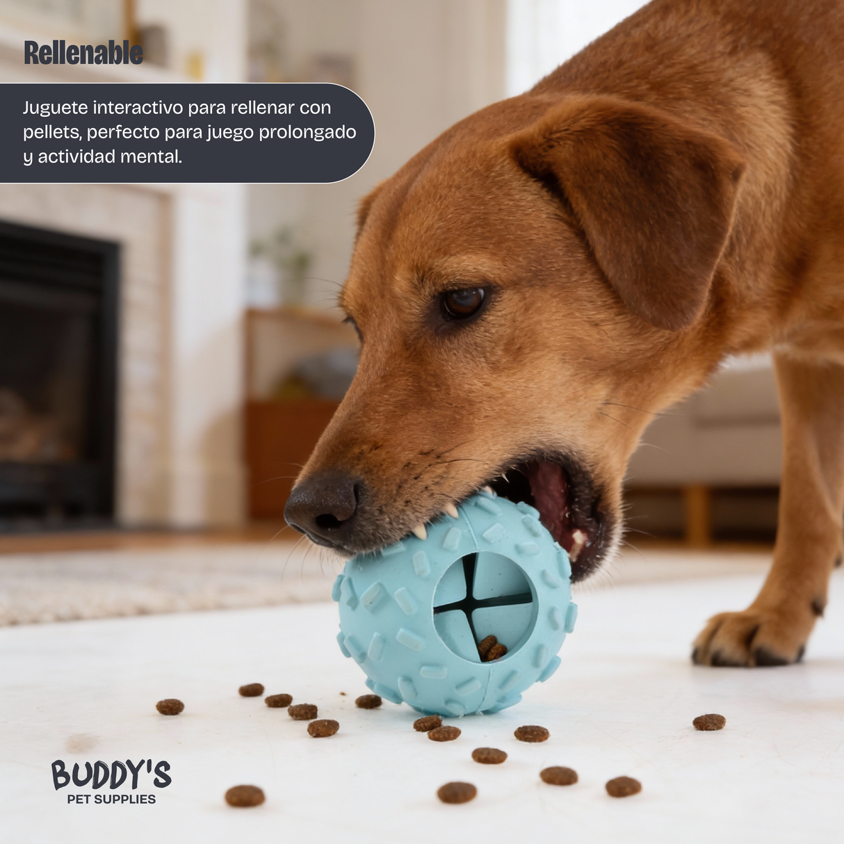 Pelota Interactiva para Perros Azul Buddy´s Pet Supplies 1 un