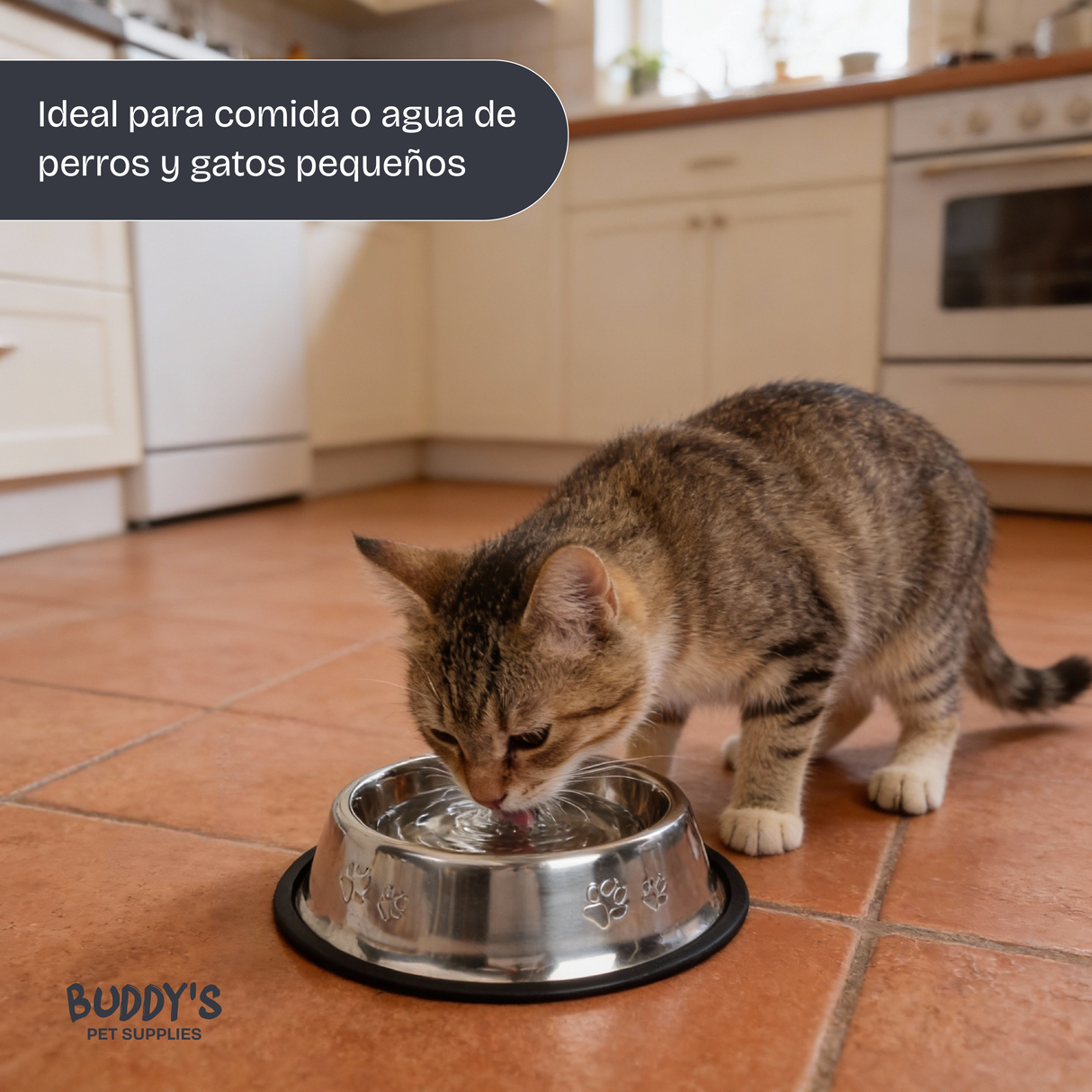 Plato Acero Innoxidable Mascotas Buddy´s Pet Supplies 1 un