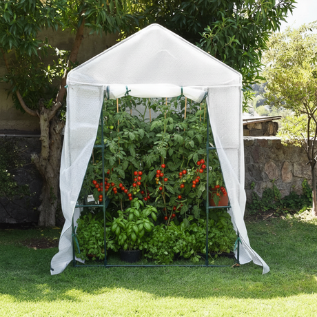 Cómo comenzar tu mini huerto en casa🌱