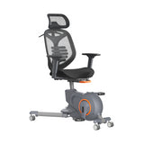 Silla Ergonómica Fitness de Escritorio Home Logics