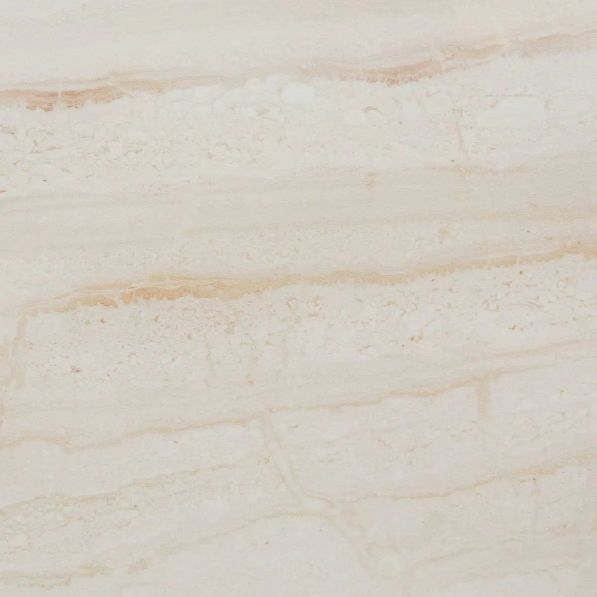 Organizador 1 Nivel Caps Acacia 5Five 1 un