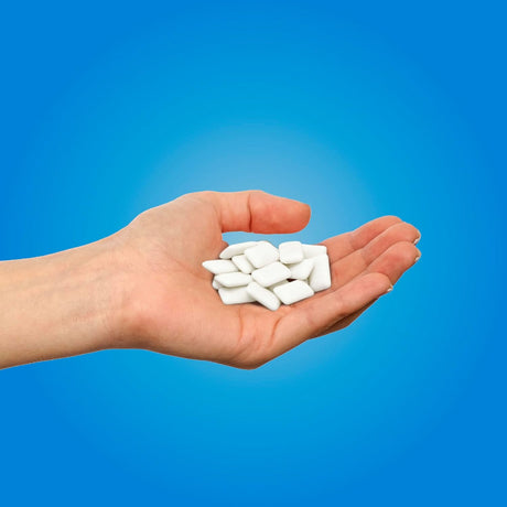 Chicles sin Azúcar Peppermint Pür 12 x 9 un