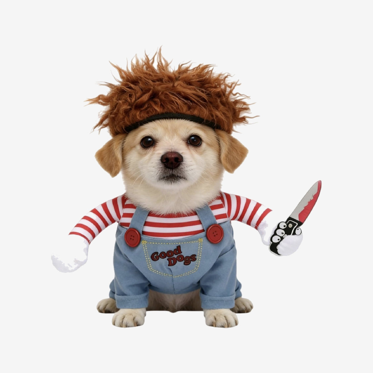 Disfraz Para Mascota Asesino 1 un