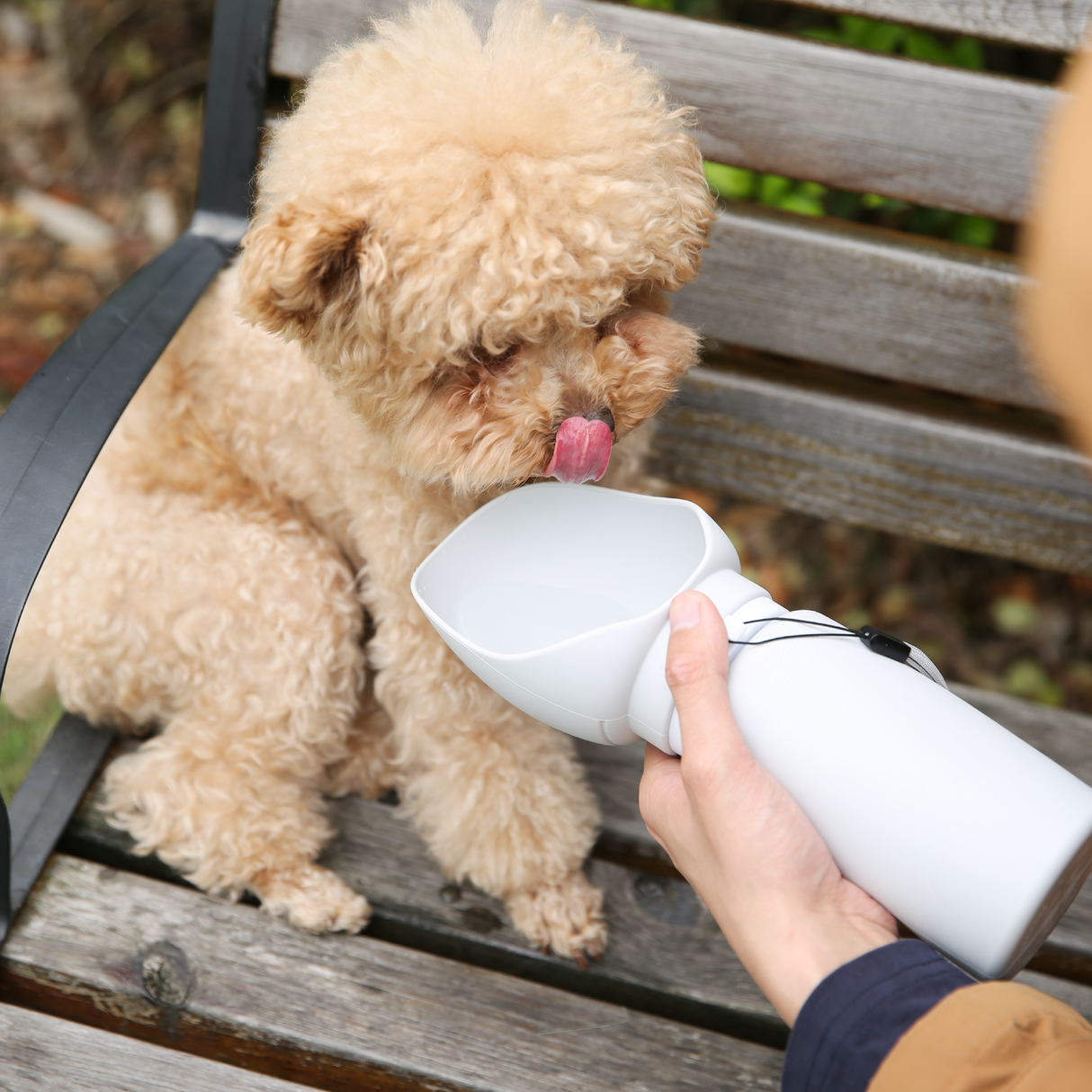 Botella de Agua Plegable para Mascotas 550 ml