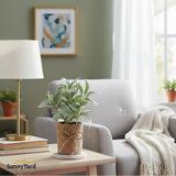 Planta Salvia Artificial con Macetero SunnyYard