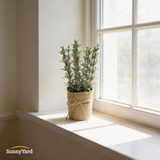 Romero Artificial con Macetero SunnyYard 1 un