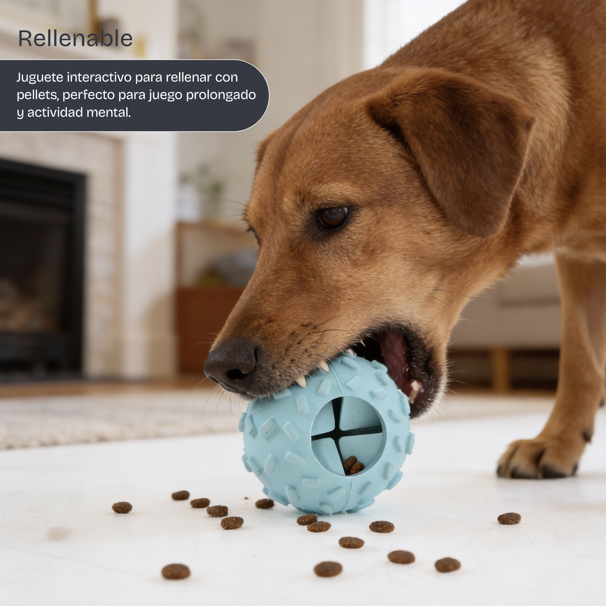 Pelota Interactiva para Perros Azul