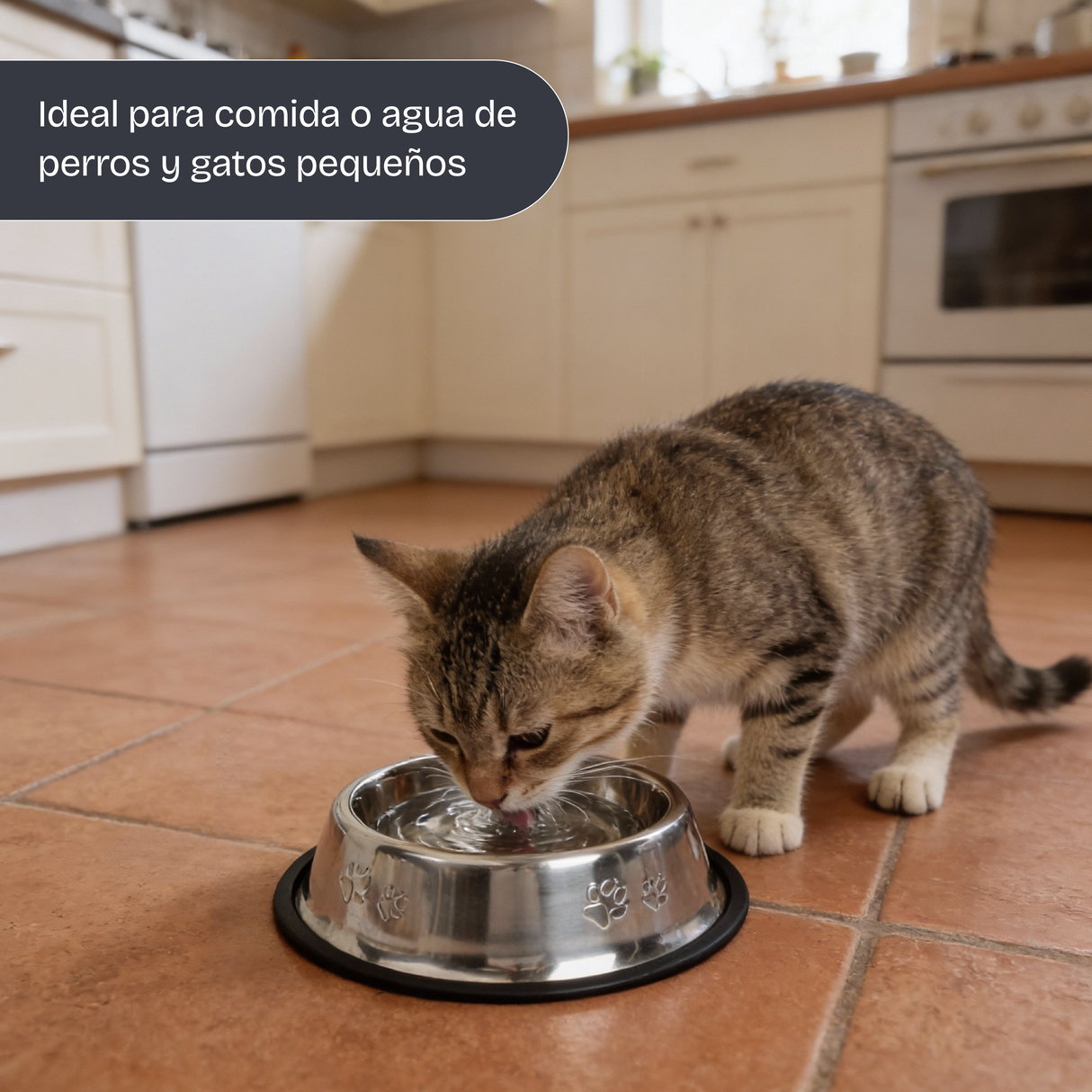 Bowl acero inoxidable