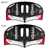 Set Wing Foil Negro 2 Wings