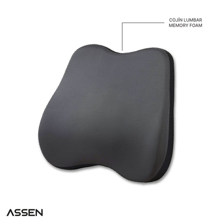 Cojín Lumbar Ergonómico Memory Foam Assen 1 un