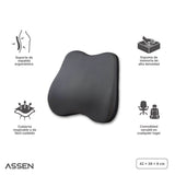 Cojín Lumbar Ergonómico Memory Foam Assen 1 un