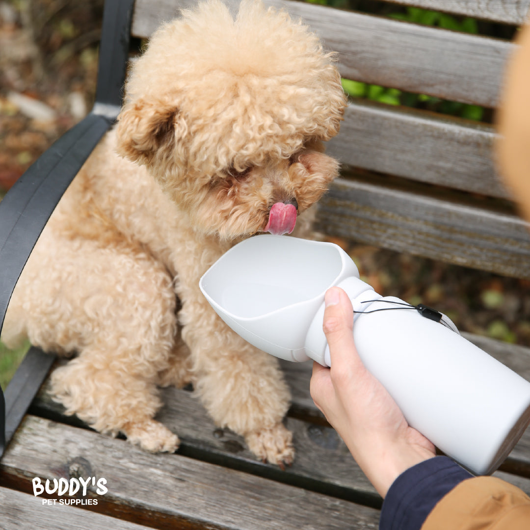 Botella de Agua Plegable para Mascotas 550 ml Buddy´s Pet Supplies 1 un