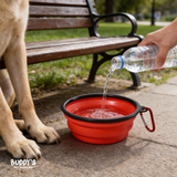 Plato Comida Plegable para Mascotas Buddy´s Pet Supplies 1 un