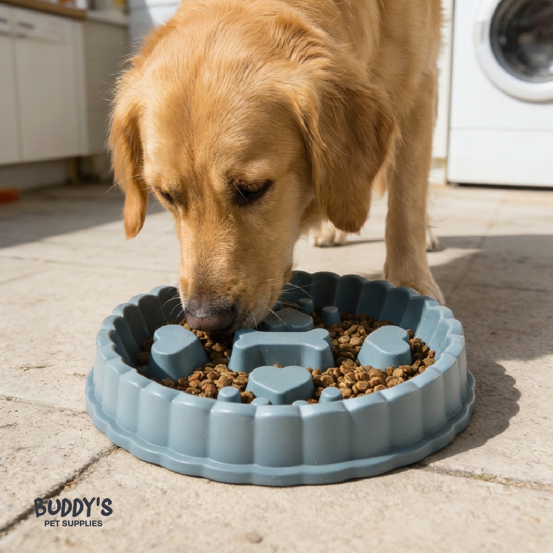 Plato Anti Ansiedad para Mascotas Buddy´s Pet Supplies 1 un