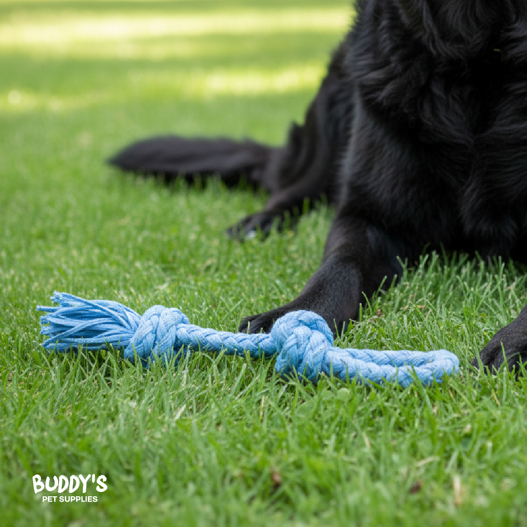 Mordedor de Cuerda para Perro Buddy´s Pet Supplies 1 un