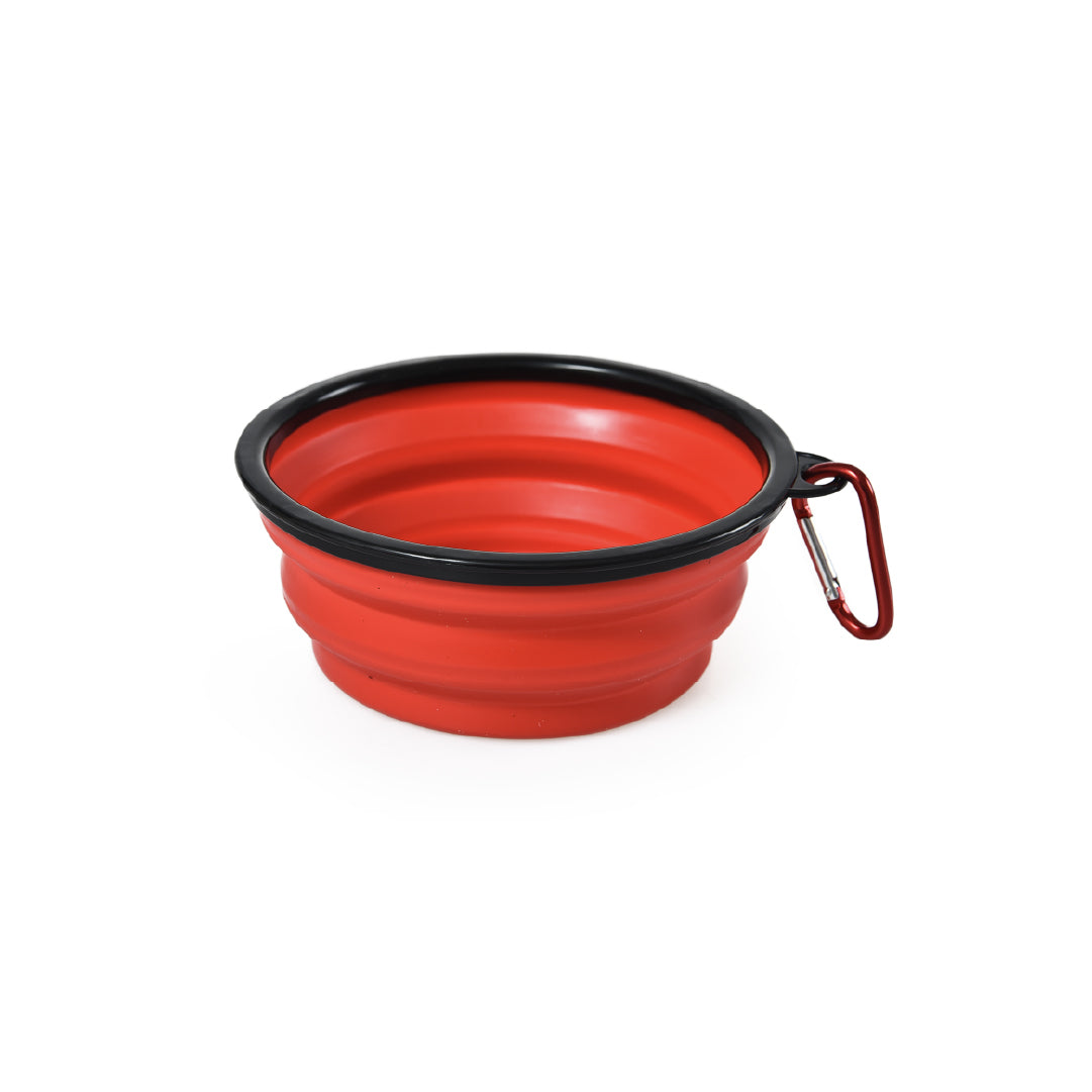 Plato Comida Plegable para Mascotas Buddy´s Pet Supplies 1 un