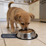 Plato Acero Innoxidable Mascotas 1 un
