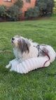 Cama para Perros 47 x 37 x 17 cm
