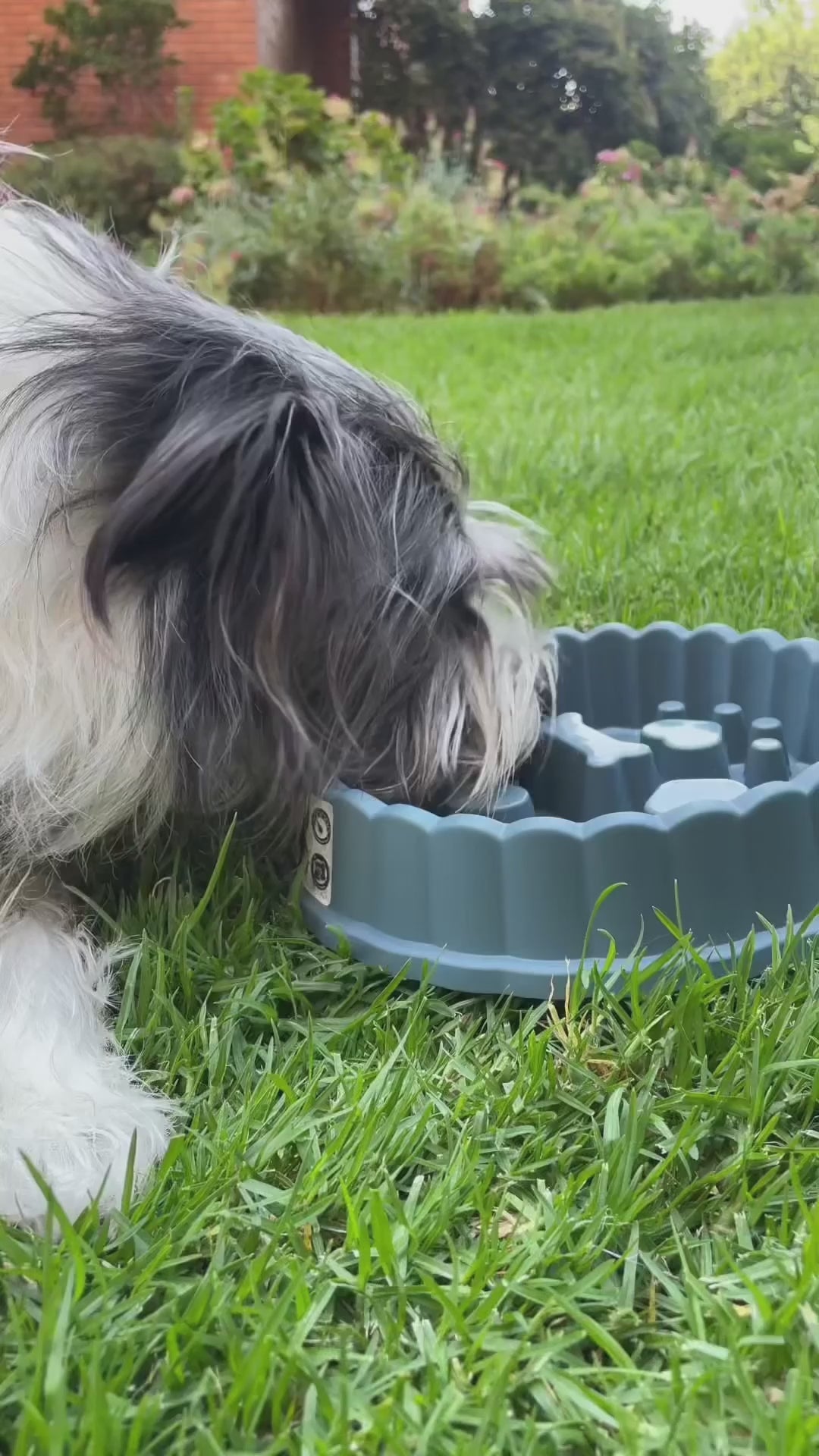 Plato Anti Ansiedad para Mascotas