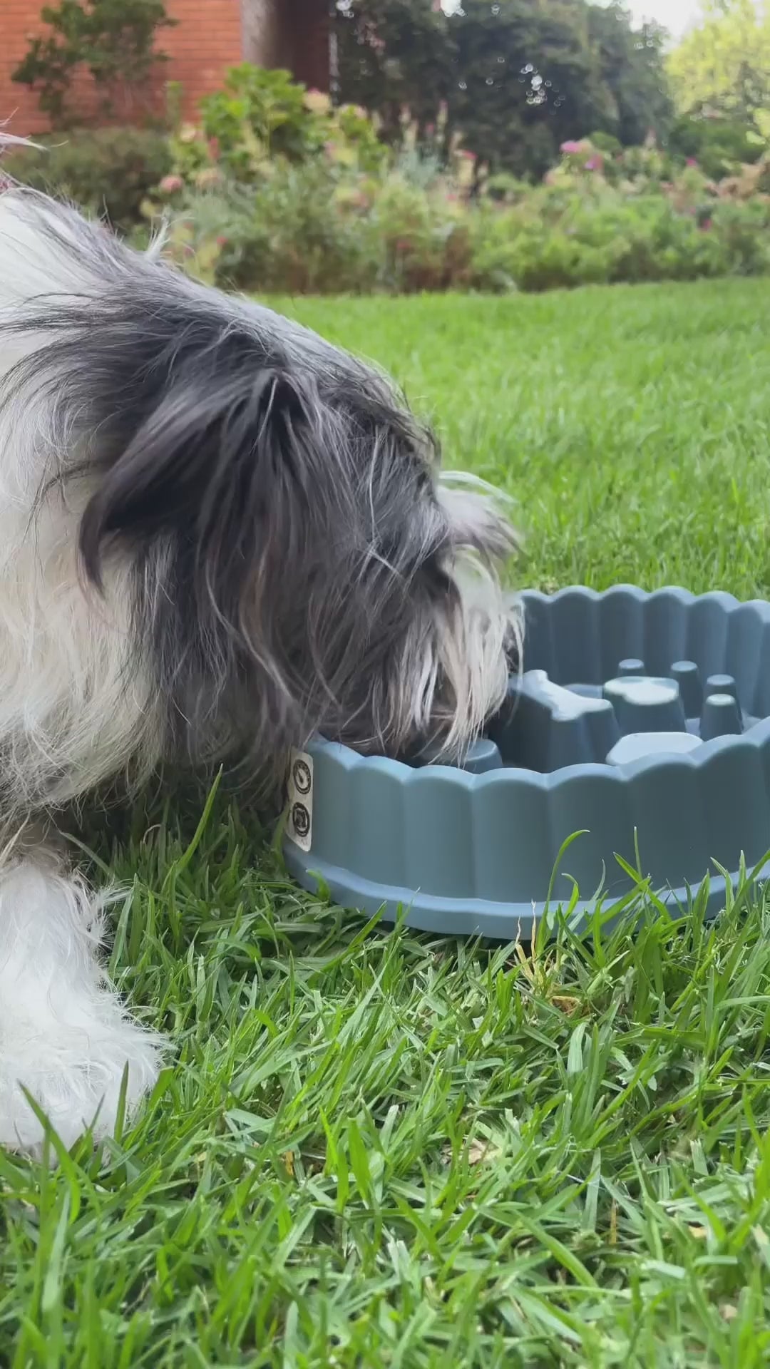 Plato Anti Ansiedad para Mascotas