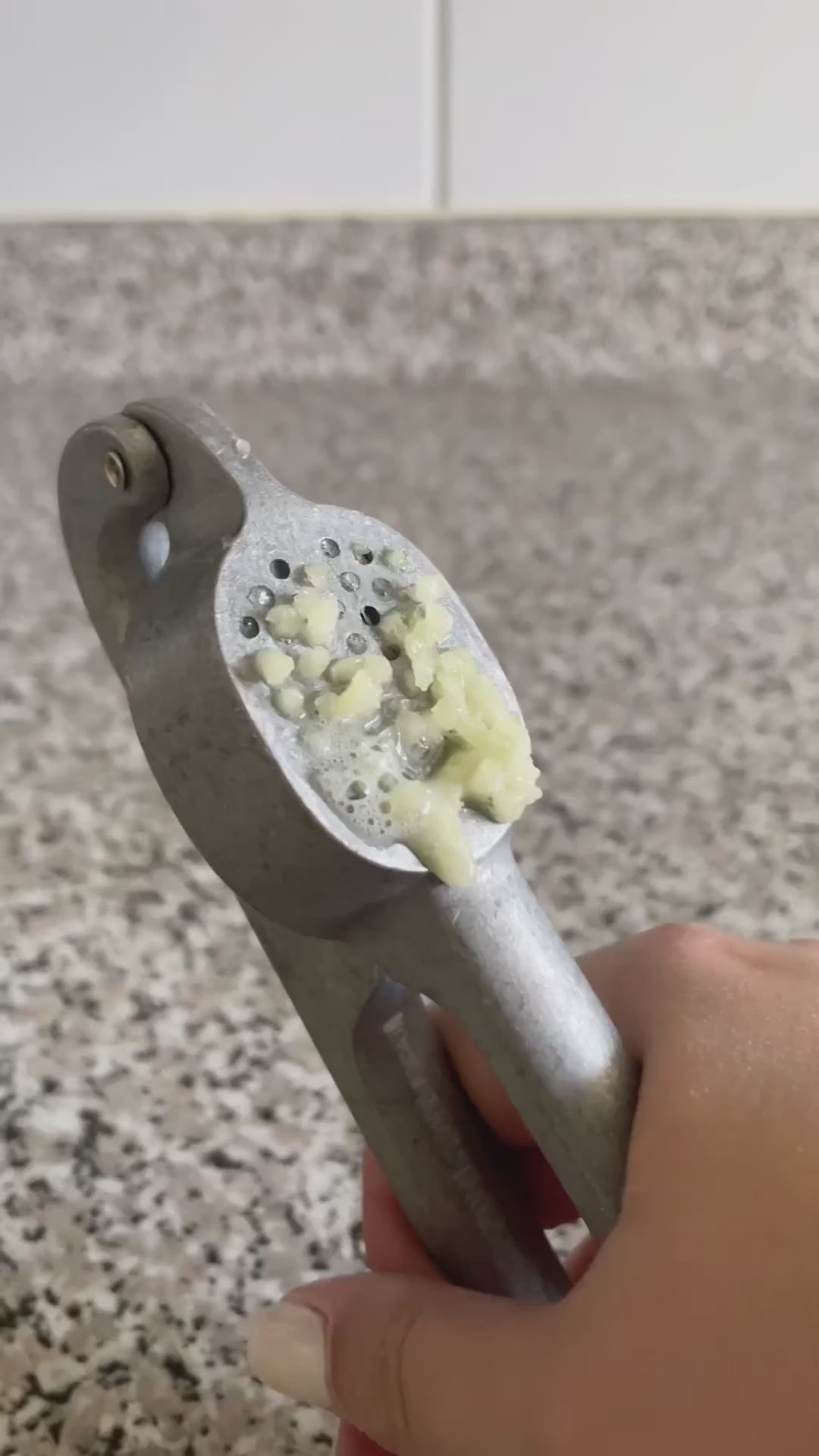 Prensa de Ajos Home Logics 1 un