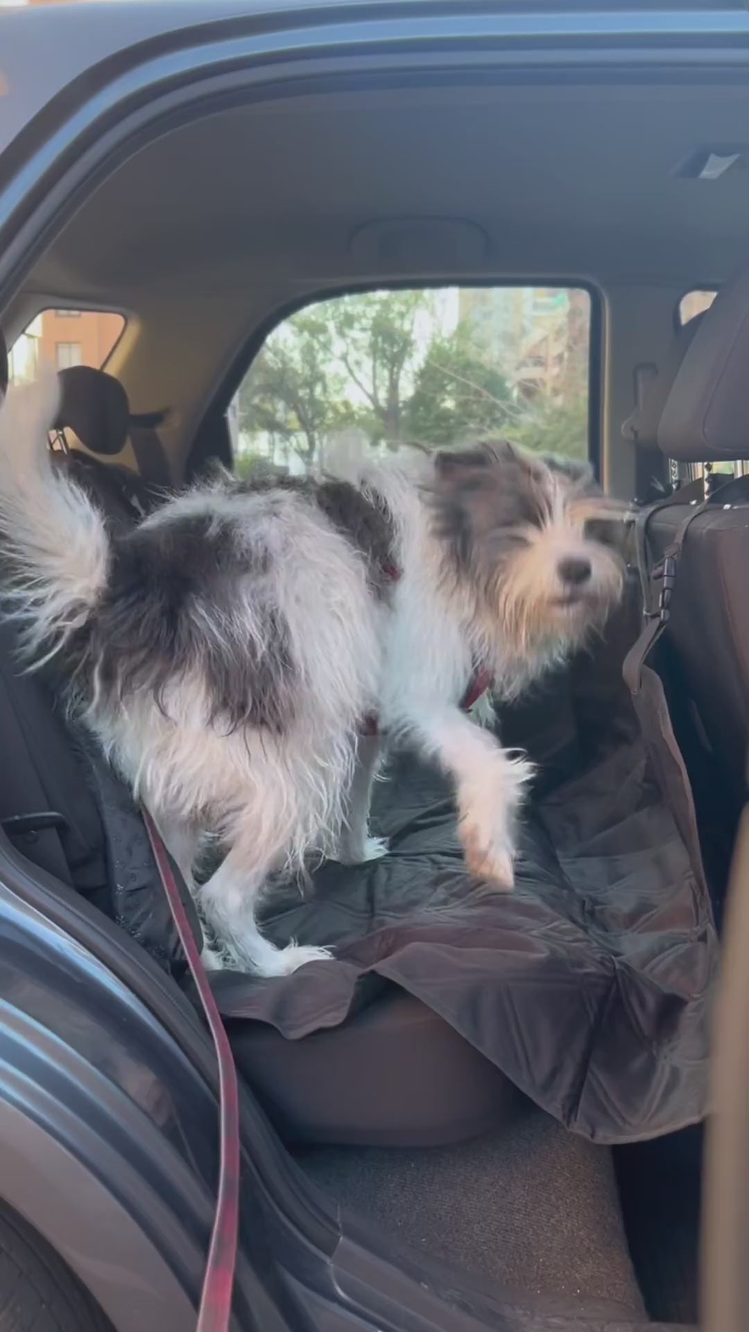 Funda Cubre Asiento de Auto para Mascotas The Pet Corner 1 un