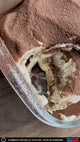 Mezcla Tiramisú Divina Bonta 210 g