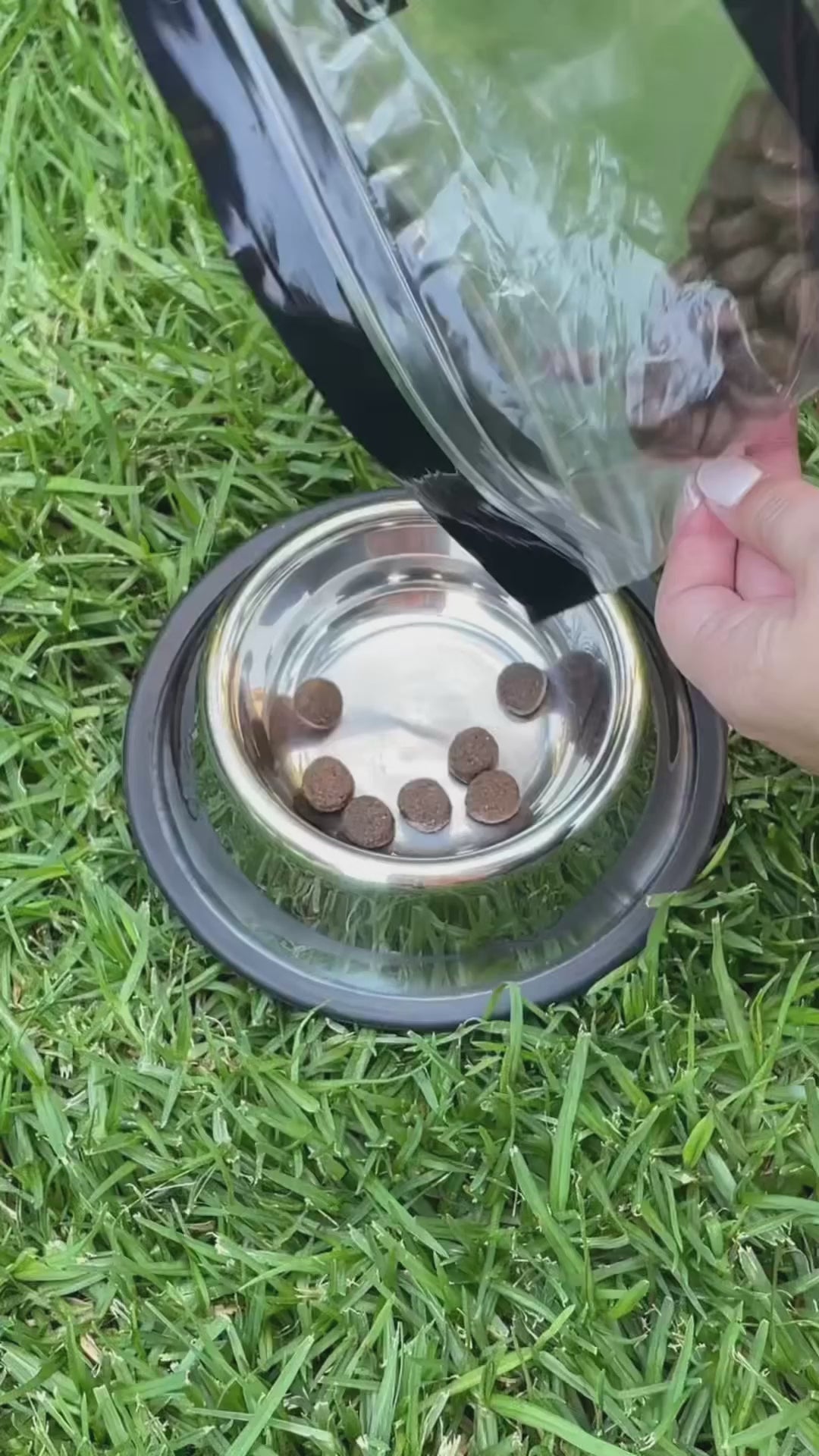 Bowl acero inoxidable para mascotas 1 un