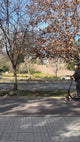 Scooter Eléctrico Plegable Roolk 1 un
