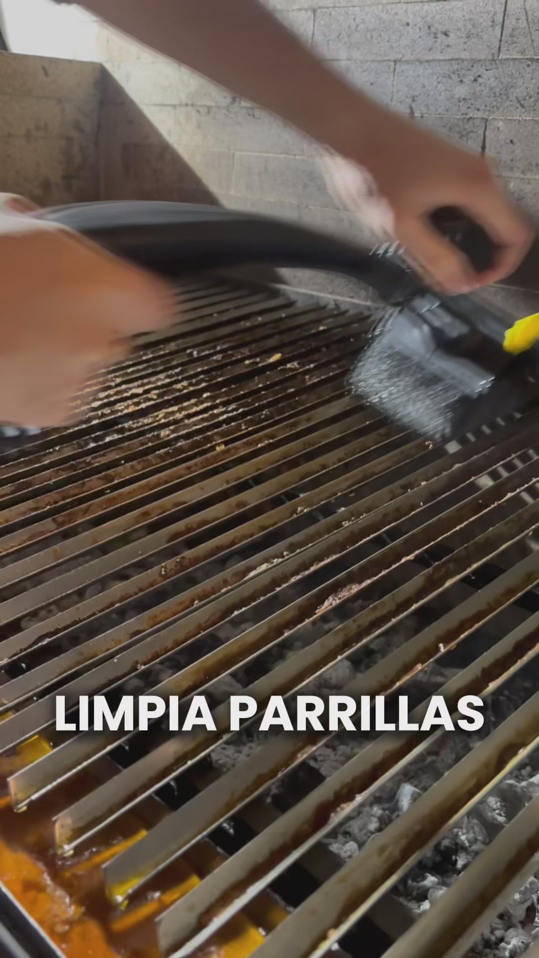 Cepillo Limpia Parrillas Scrub Daddy 1 un