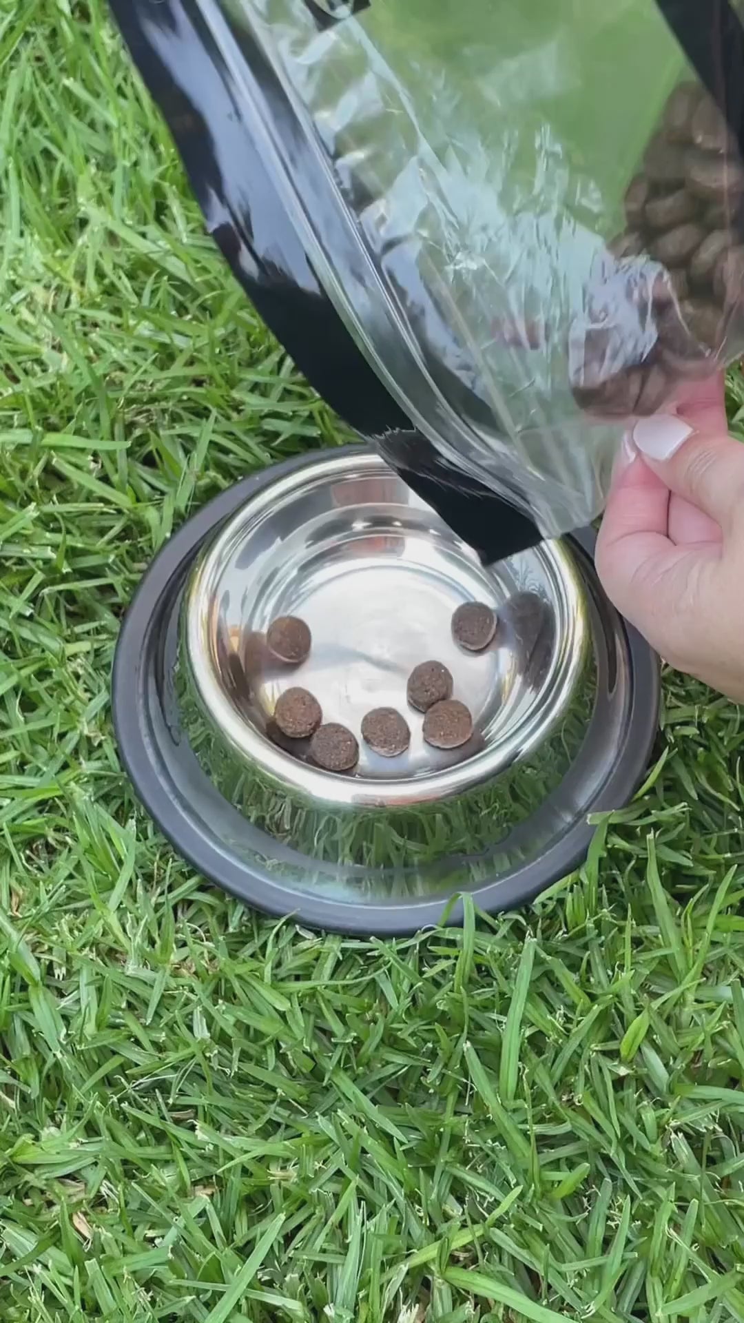 Plato Acero Innoxidable Mascotas Buddy´s Pet Supplies 1 un