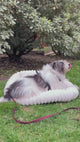 Cama para Perros 75 x 58 x 19 cm