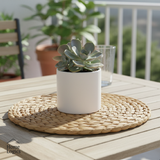 Set 2 Individuales Field Collection Home Logics 1 un